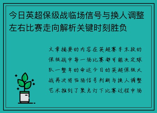 今日英超保级战临场信号与换人调整左右比赛走向解析关键时刻胜负 今日英超保级战临场信号与换人调整左右比赛走向解析关键时刻胜负
